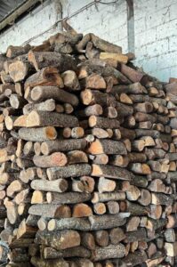 WhatsApp Image 2024-05-03 at 14.49.13 - copia