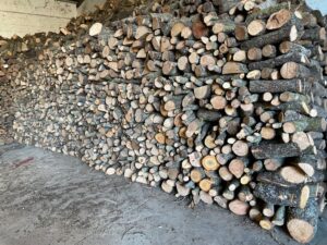 cbee140d-cc3d-4d7d-91ab-7c7ffbbf400d - copia - copia - copia - copia - copia - copia - copia - copia